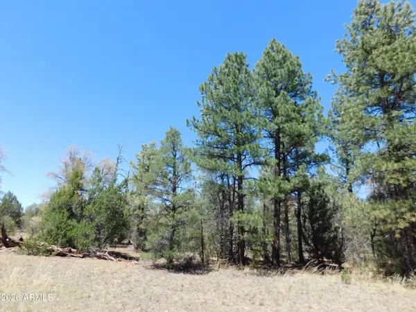 3100 Pinewood Drive #083B, Overgaard, AZ 85933