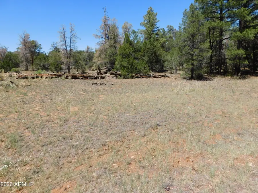 3100 Pinewood Drive #083B, Overgaard, AZ 85933 - #2