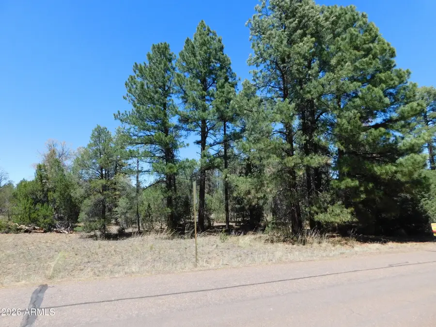 3100 Pinewood Drive #083B, Overgaard, AZ 85933 - #3