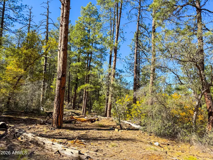 0 Forest Service Road --, Prescott, AZ 86303 - #3