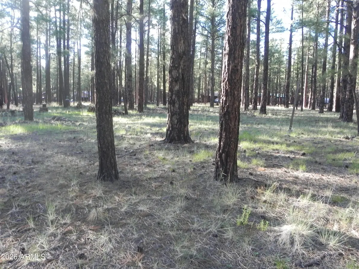 7606 E Jolly Rogue Lane #162, Williams, AZ 86046 - #1