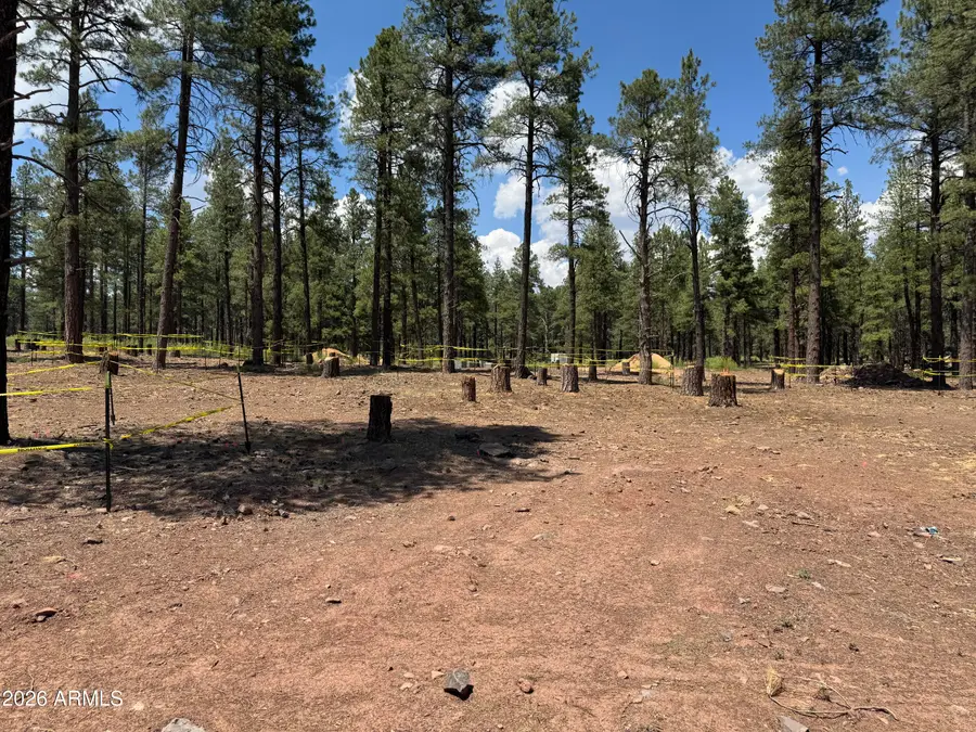 1925 Flower Spring Trail, Flagstaff, AZ 86005 - #3