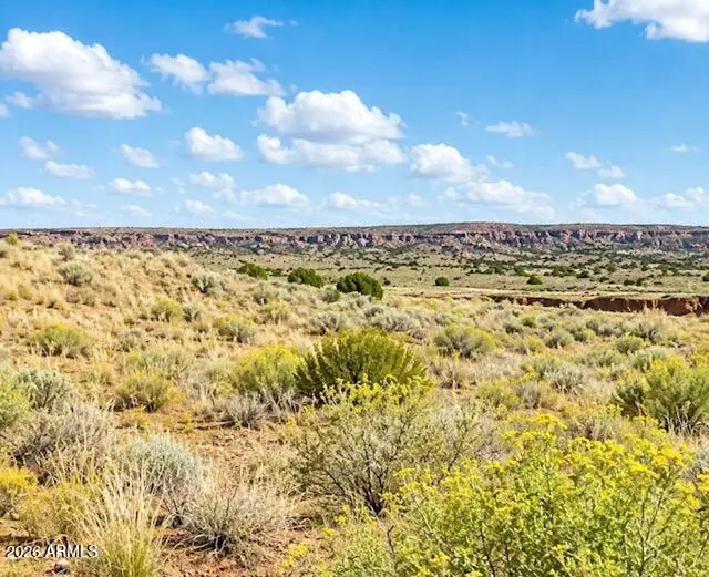 TBD 107-35-439/440 Concho Lakeland -- #30-31, Concho, AZ 85924 - #2