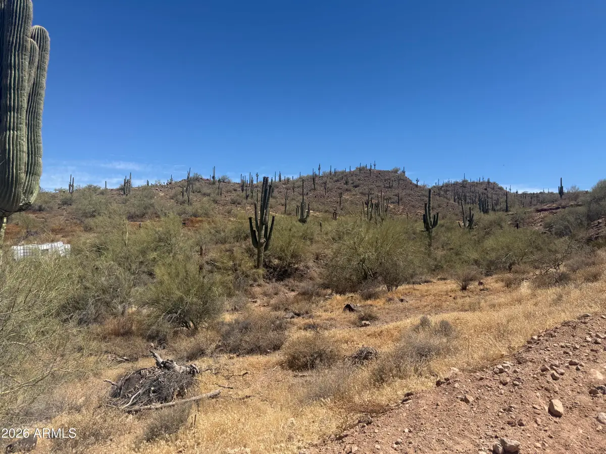 1913 E Mariola --, Phoenix, AZ 85086 - #1