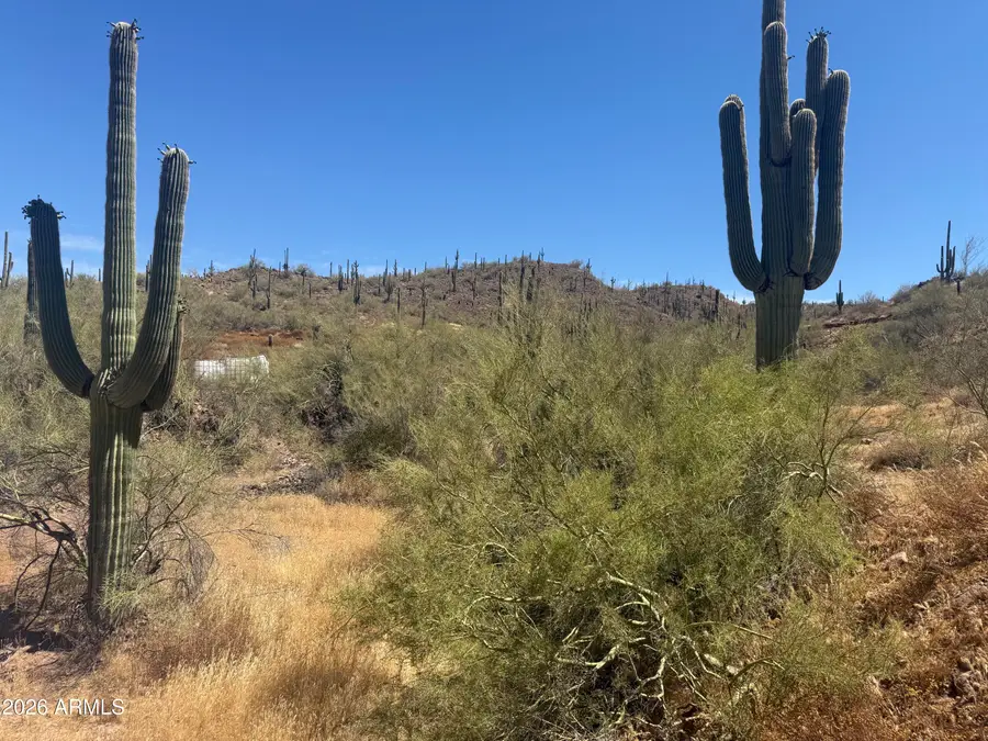 1913 E Mariola --, Phoenix, AZ 85086 - #2