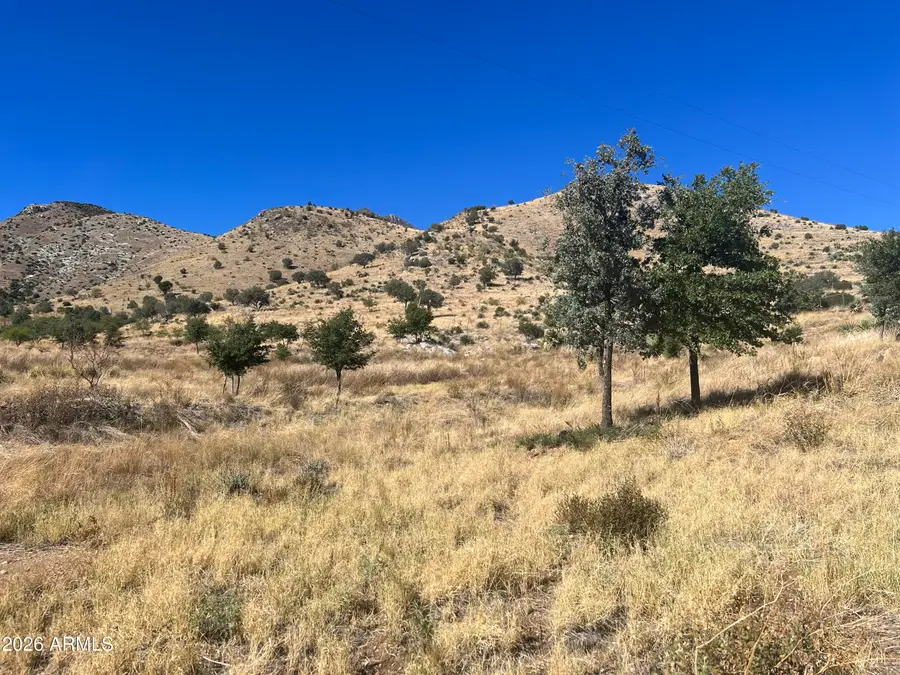 00 Muffin Lane, Hereford, AZ 85615 - #3