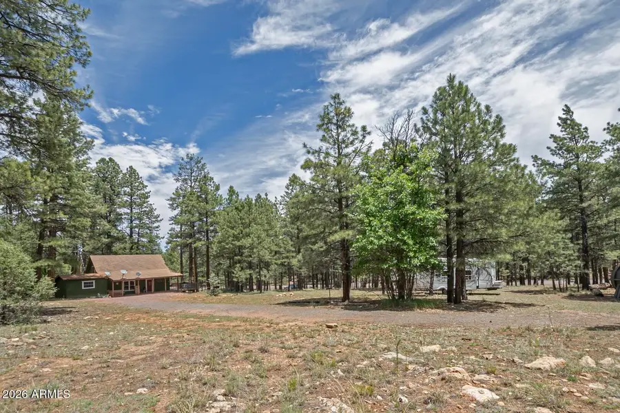 2132 W Pine Valley Road, Happy Jack, AZ 86024 - #2