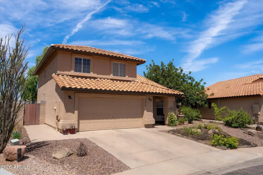 250 S Sean Drive, Chandler, AZ 85224 - #2