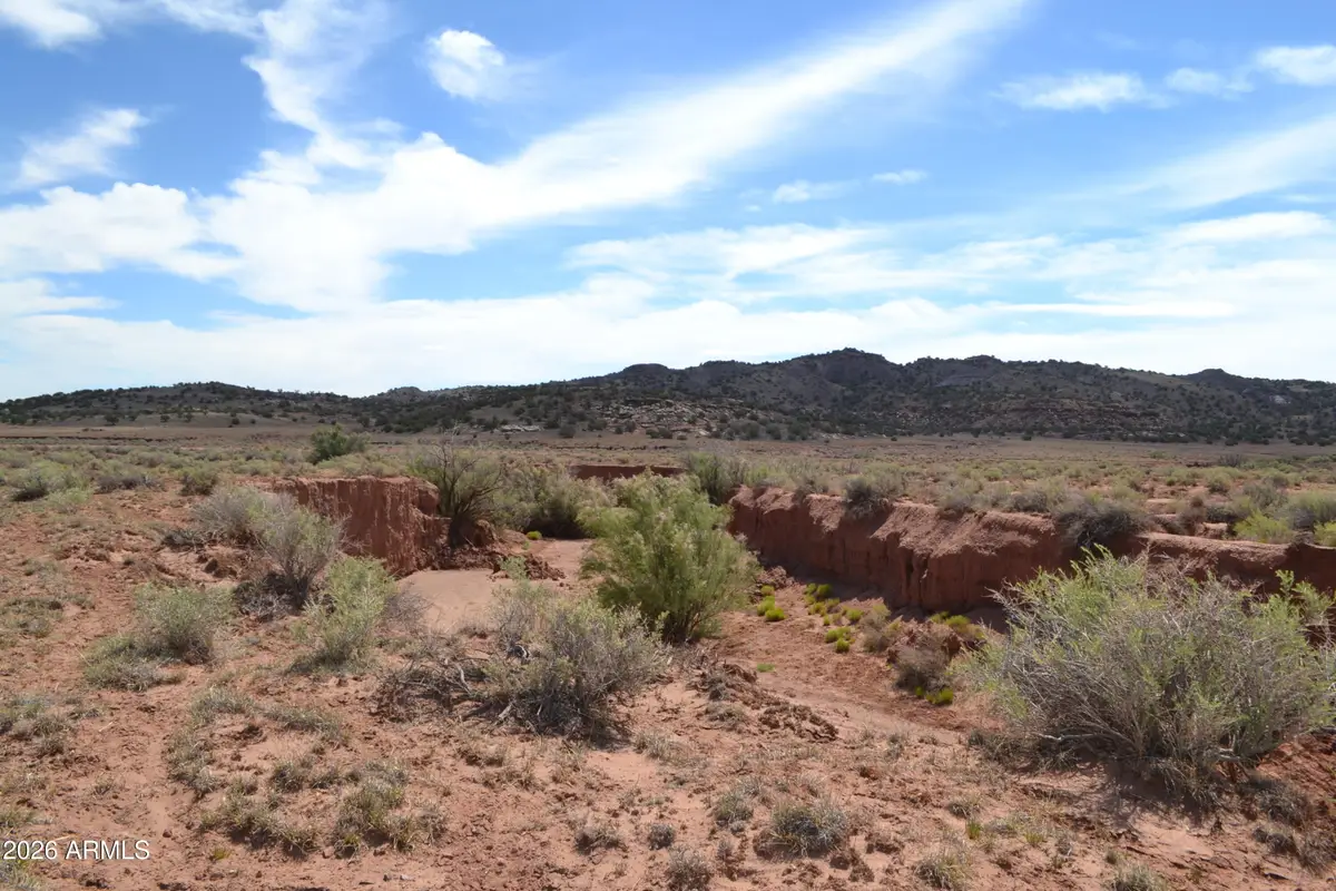 Lots 18,19 N8577 -- #18, Concho, AZ 85924 - #1