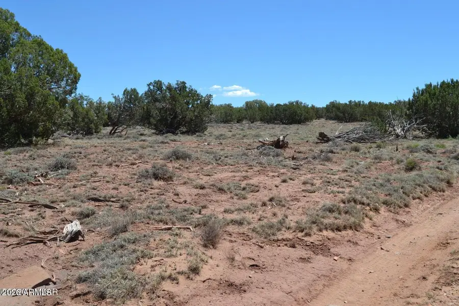 TBD N8604 -- #1, Concho, AZ 85924 - #2