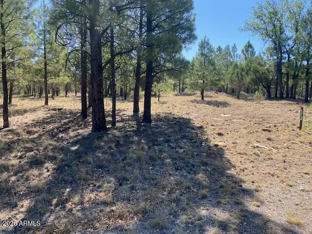4214 Juniper Drive #46, Happy Jack, AZ 86024 - #1