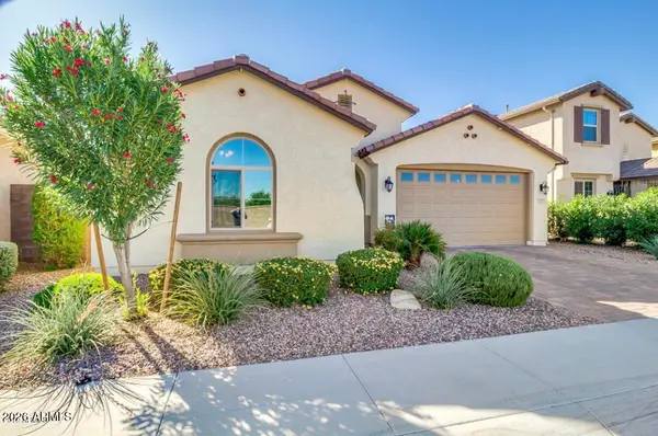 125 E Coconino Drive, Chandler, AZ 85249