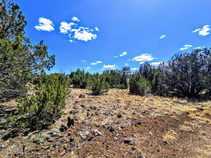 8426 Silver Creek Drive #1, Show Low, AZ 85901 - #2