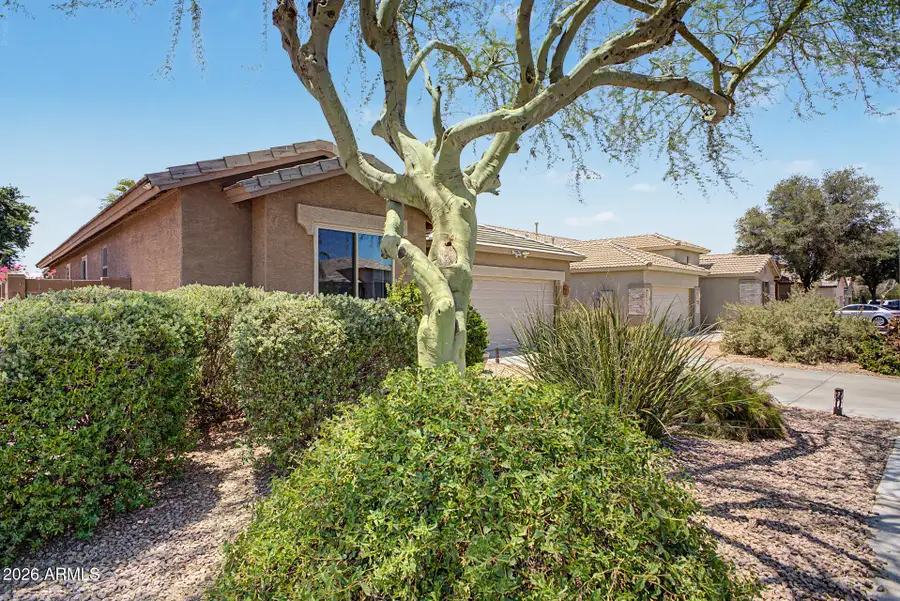 12377 W Harrison Street, Avondale, AZ 85323 - #3