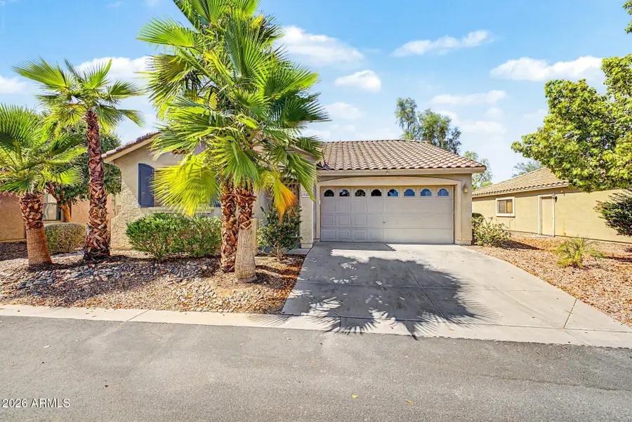 16928 W Rimrock Street, Surprise, AZ 85388 - #2