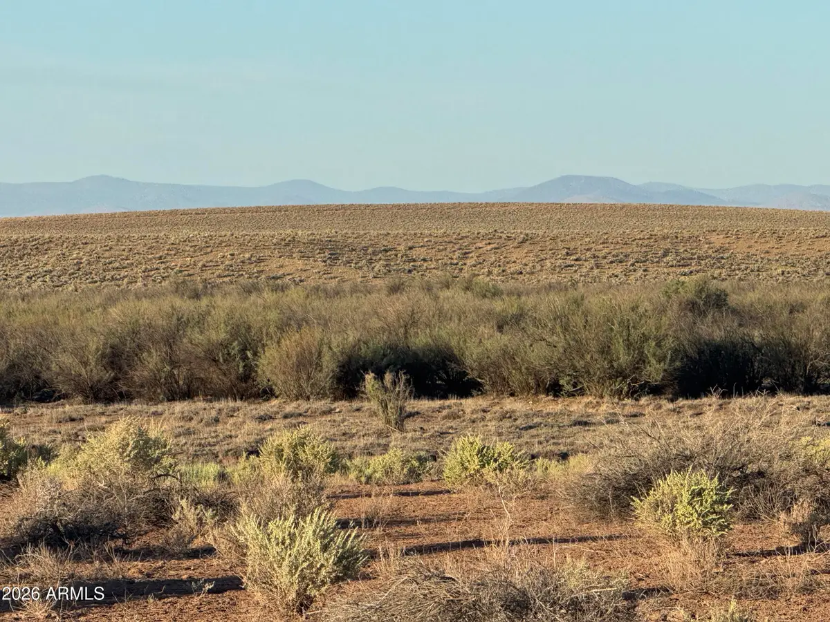 Lot 445 Carrizo Ranch -- #445, Saint Johns, AZ 85936 - #1
