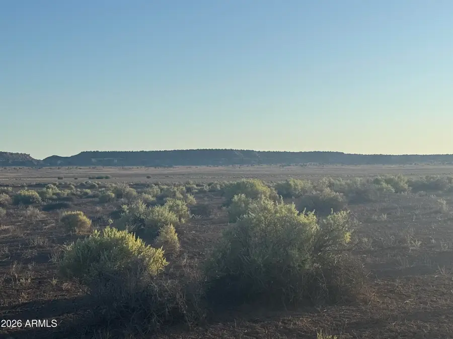 Lot 445 Carrizo Ranch -- #445, Saint Johns, AZ 85936 - #2