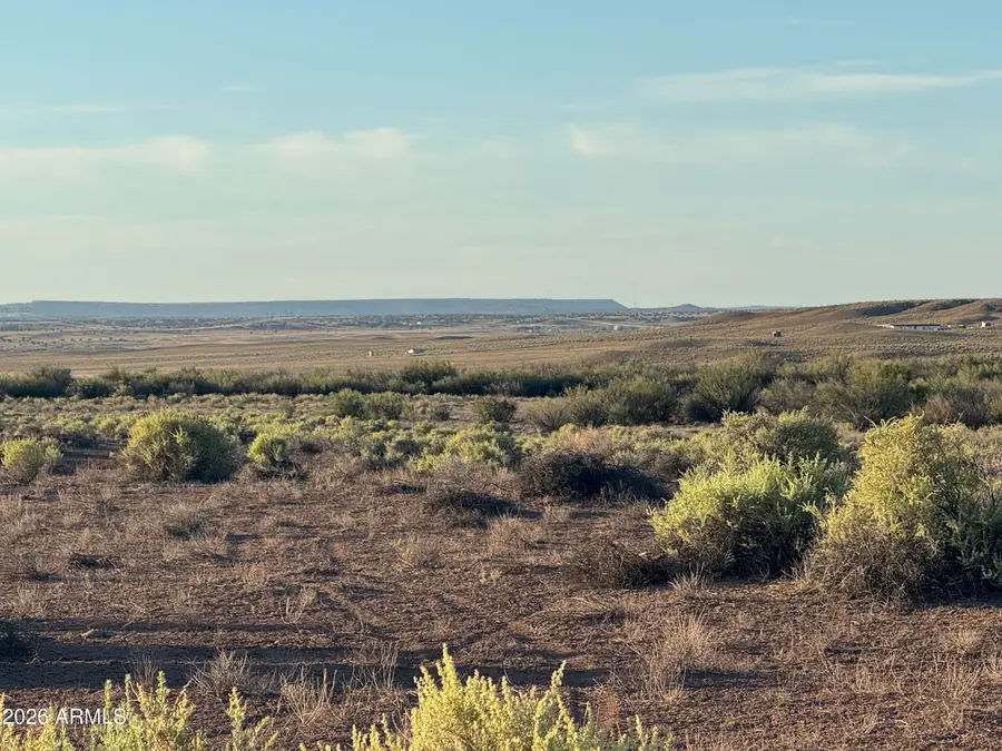 Lot 445 Carrizo Ranch -- #445, Saint Johns, AZ 85936 - #3