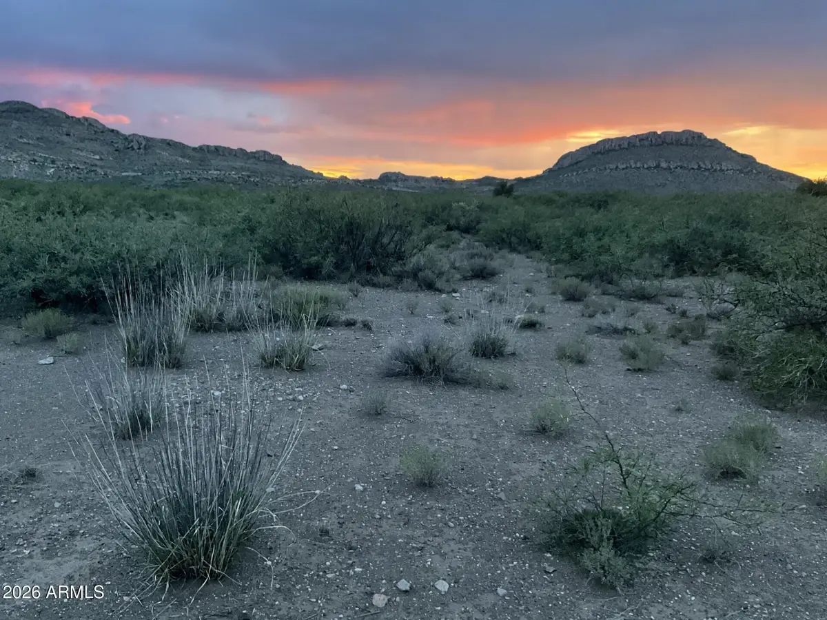 20 Acres E Mud Springs Road #5, Douglas, AZ 85607 - #1