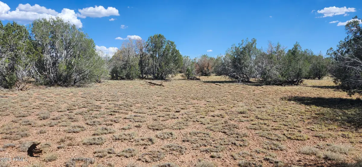 2901 N Cienega Drive #A, Ash Fork, AZ 86320 - #1