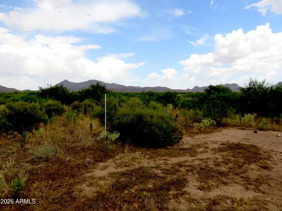 TBD N Hermosillo Road #174, Douglas, AZ 85067 - #2