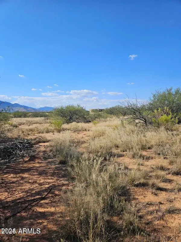 TBD 8 Ac's Off Desert Sumac B Drive #B, Hereford, AZ 85615