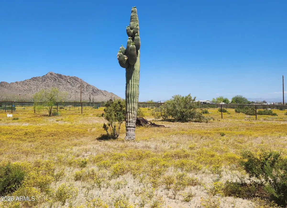 31773 N Thompson Road, Queen Creek, AZ 85144 - #1