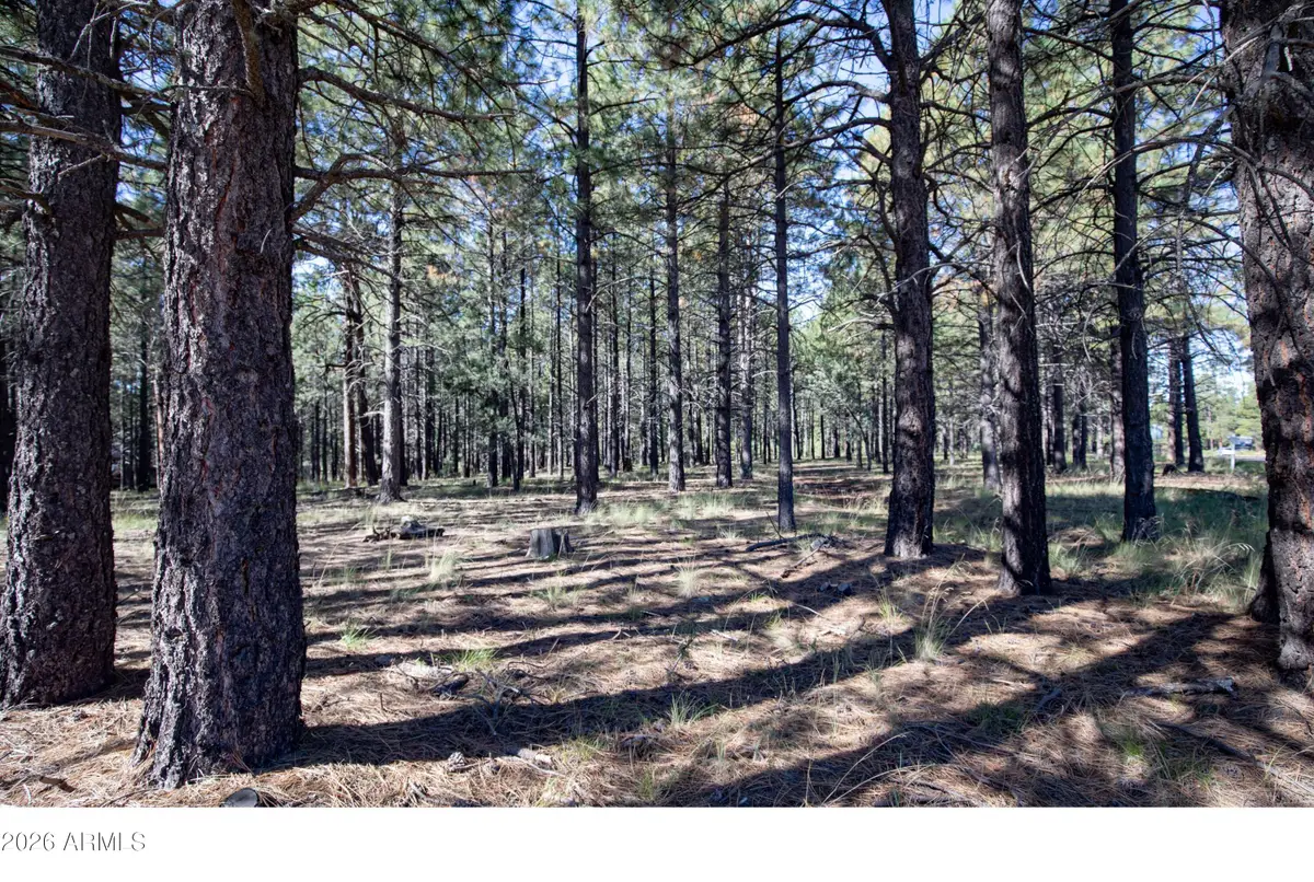 1924 Quilt Country Drive #781, Forest Lakes, AZ 85931 - #1