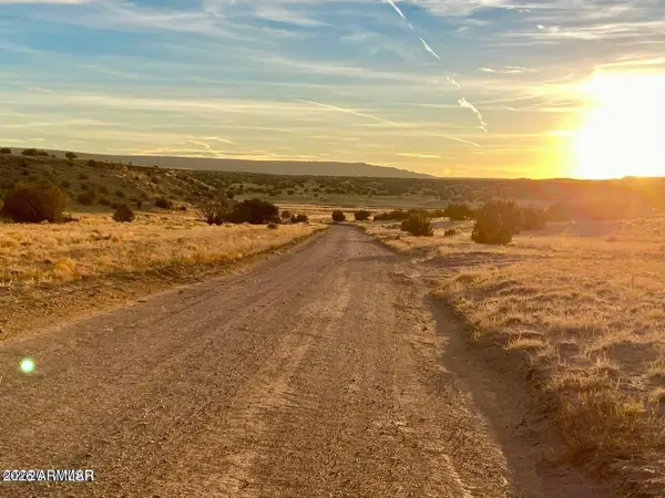 Woodland Valley Ranch Lot 902 --, St Johns, AZ 85936