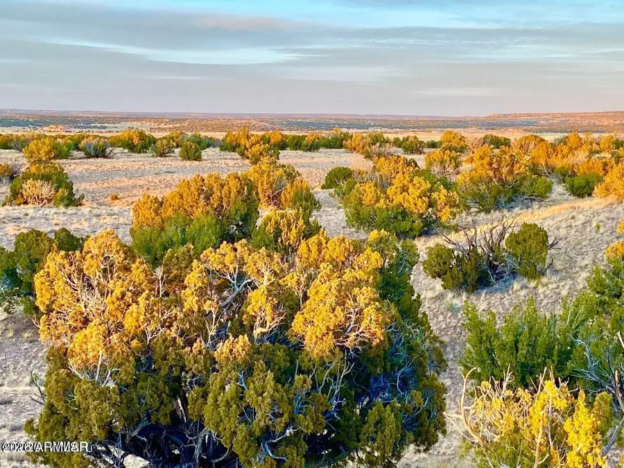 Woodland Valley Ranch Lot 902 --, Saint Johns, AZ 85936 - #3