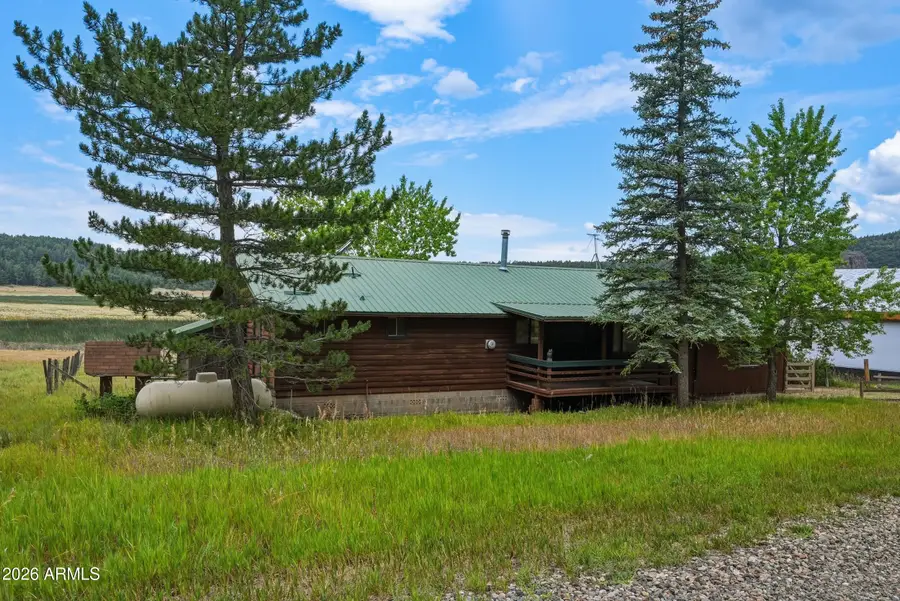 127 Lakeview Court, Mormon Lake, AZ 86038 - #2