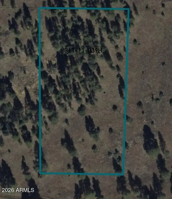 9282 N Copper Ridge Court, Lakeside, AZ 85929 - #2