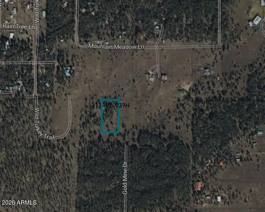 9282 N Copper Ridge Court, Lakeside, AZ 85929 - #3