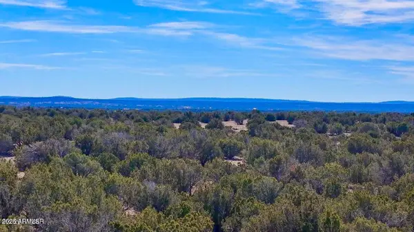 9023 Appaloosa Trail Lots C & E --, Show Low, AZ 85901