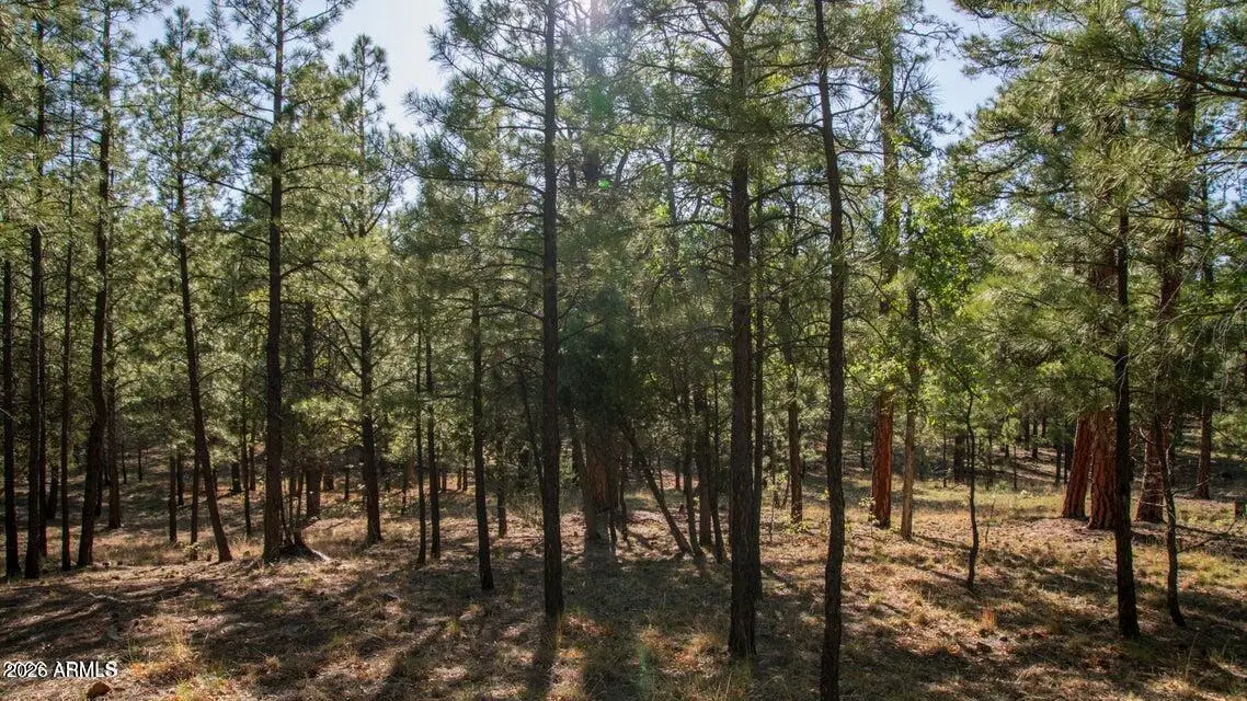 2535 Woody Pine Drive #87, Happy Jack, AZ 86024 - #1