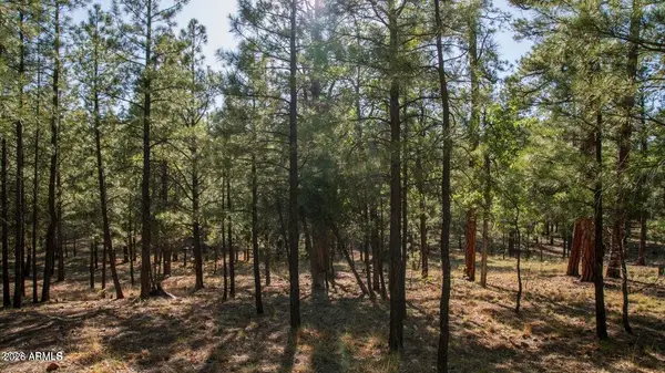 2535 Woody Pine Drive #87, Happy Jack, AZ 86024