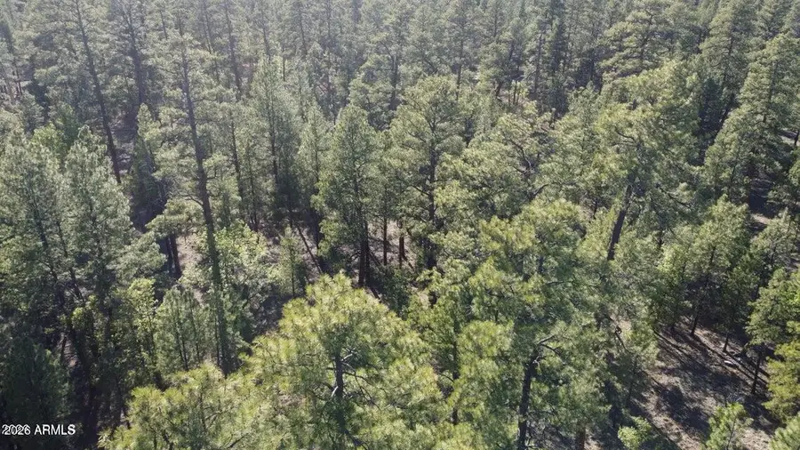 2535 Woody Pine Drive #87, Happy Jack, AZ 86024 - #3