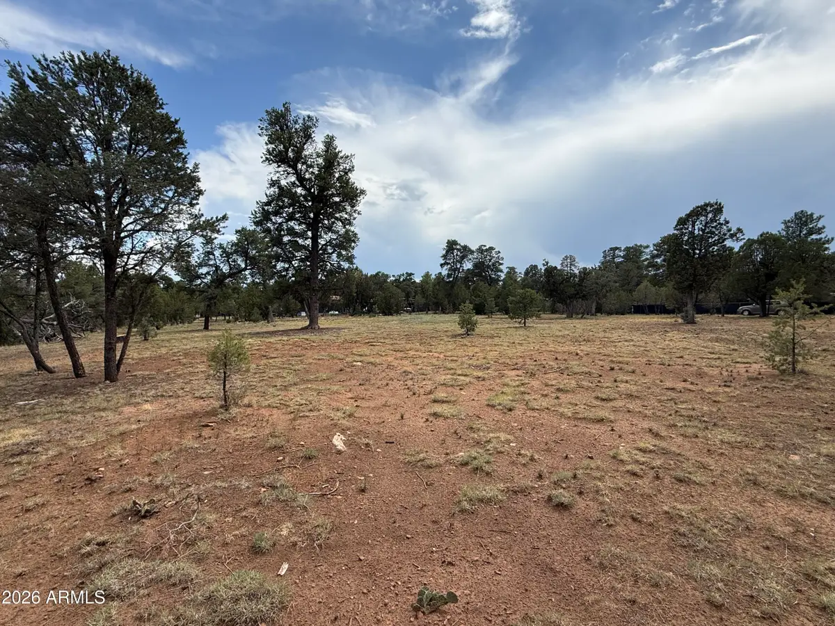 3048 Chevelon Road #147, Overgaard, AZ 85933 - #1