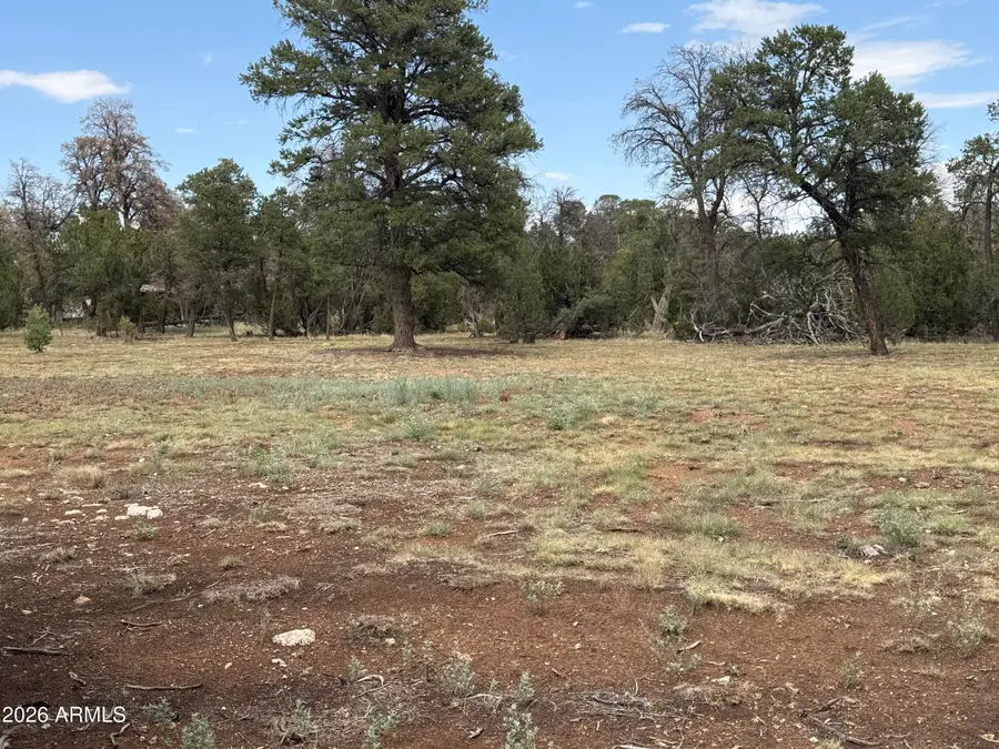 3048 Chevelon Road #147, Overgaard, AZ 85933 - #3