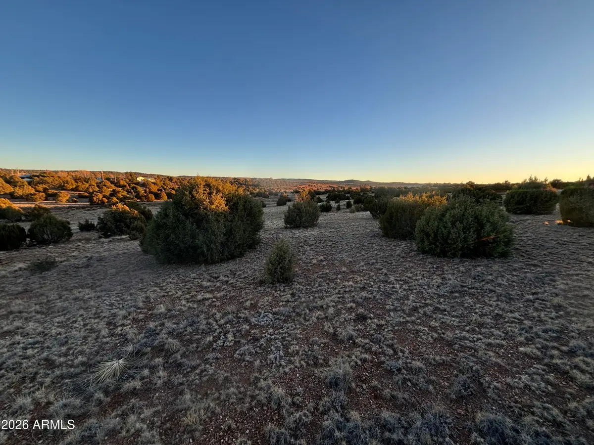 4967 Hollyhock Street, Clay Springs, AZ 85923 - #1