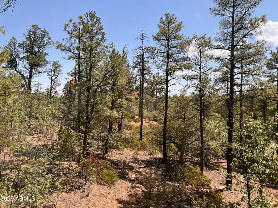 7384 Carina Lane, Lakeside, AZ 85929 - #3