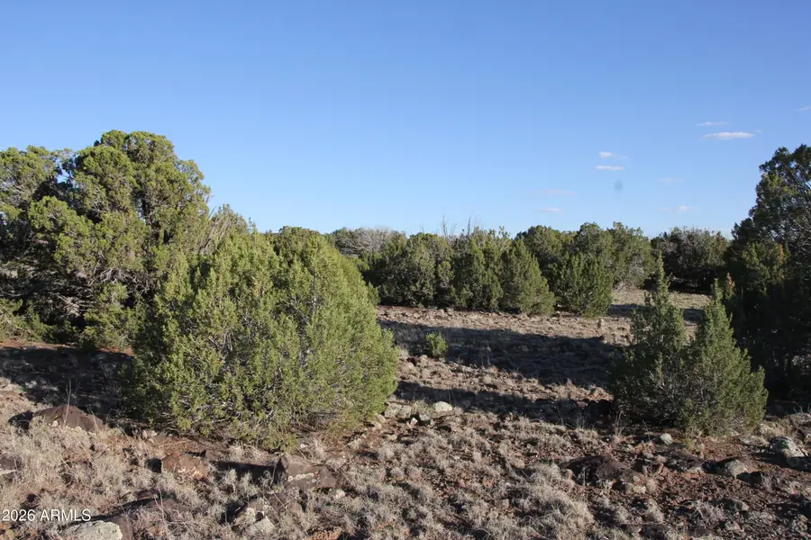8623 Tbd County Road 8623 -- #62, Concho, AZ 85924 - #2