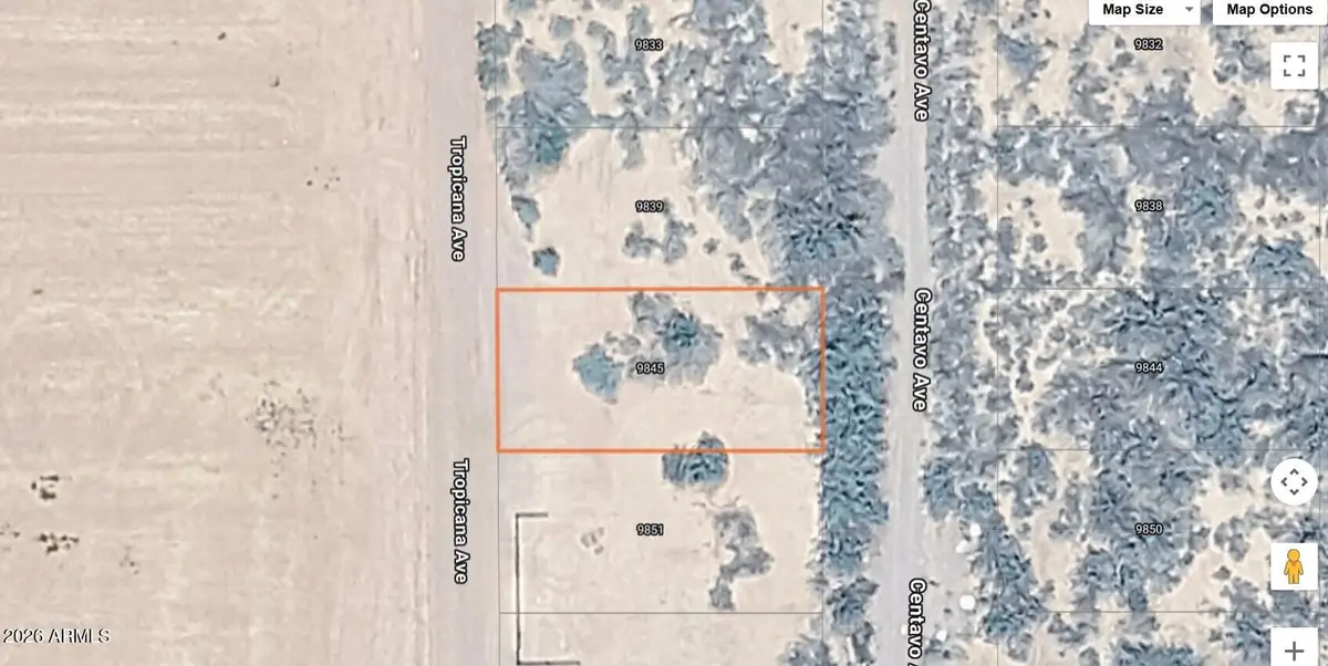 9845 Centavo Avenue #18, Mohave Valley, AZ 86446 - #1
