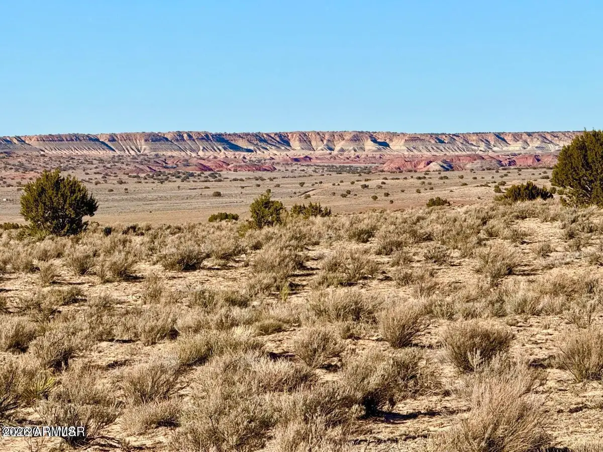 0 N7009 40 Acres --, Chambers, AZ 86502 - #1