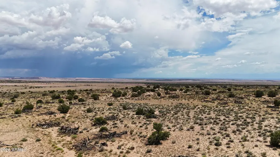 TBD Gbar Ranch Parcel 204-78-209 -- #095, Saint Johns, AZ 85936 - #3