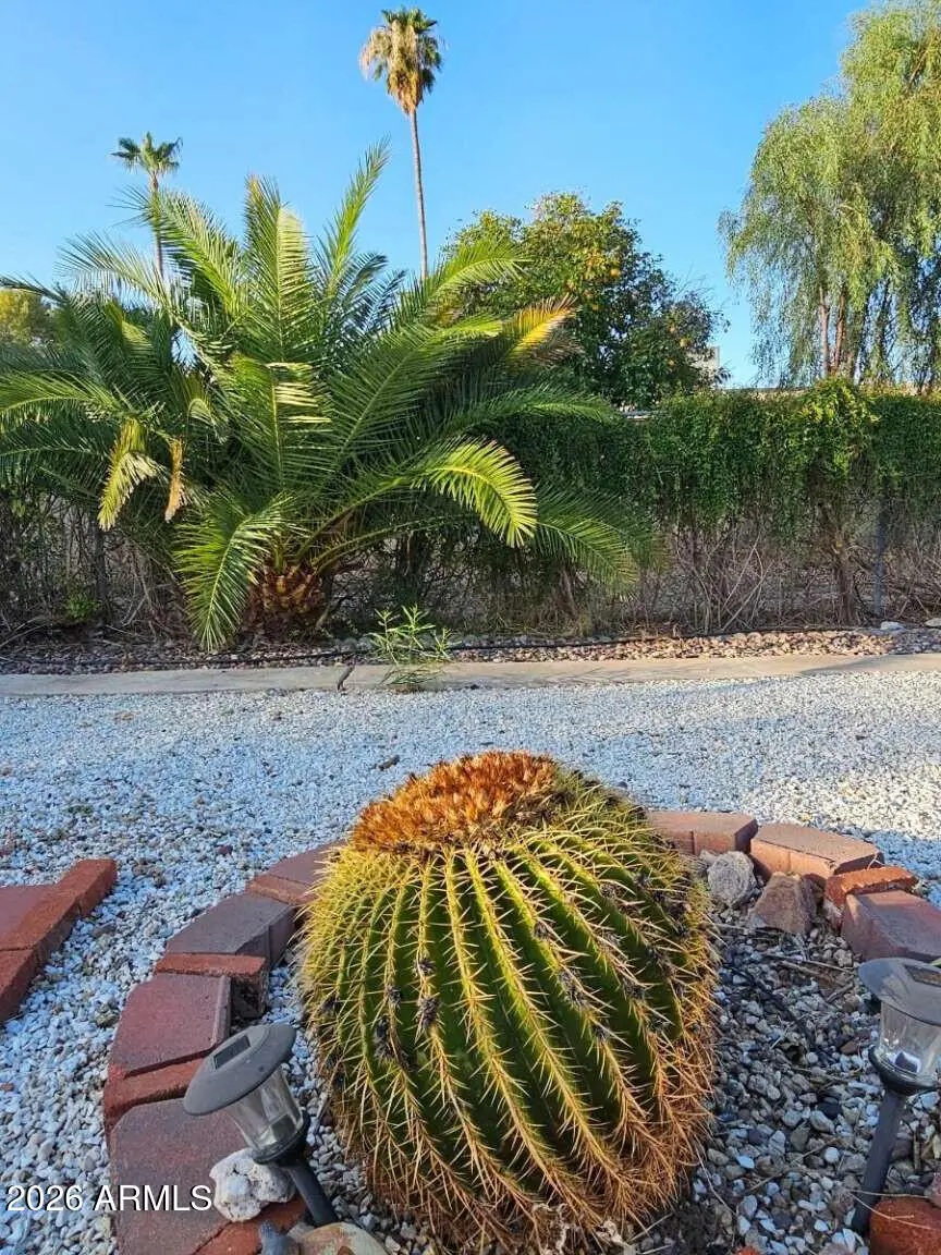 821 N Spur Circle, Mesa, AZ 85203 - #3