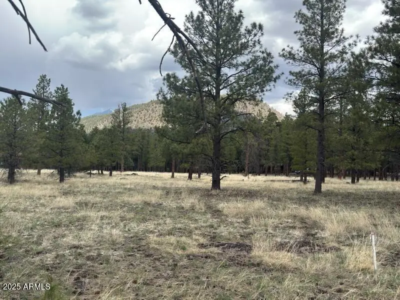 Lot 2 N Quintana Drive #2, Flagstaff, AZ 86001 - #3