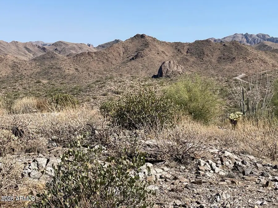 3246 N Silver Tip Trail, Queen Valley, AZ 85118 - #3