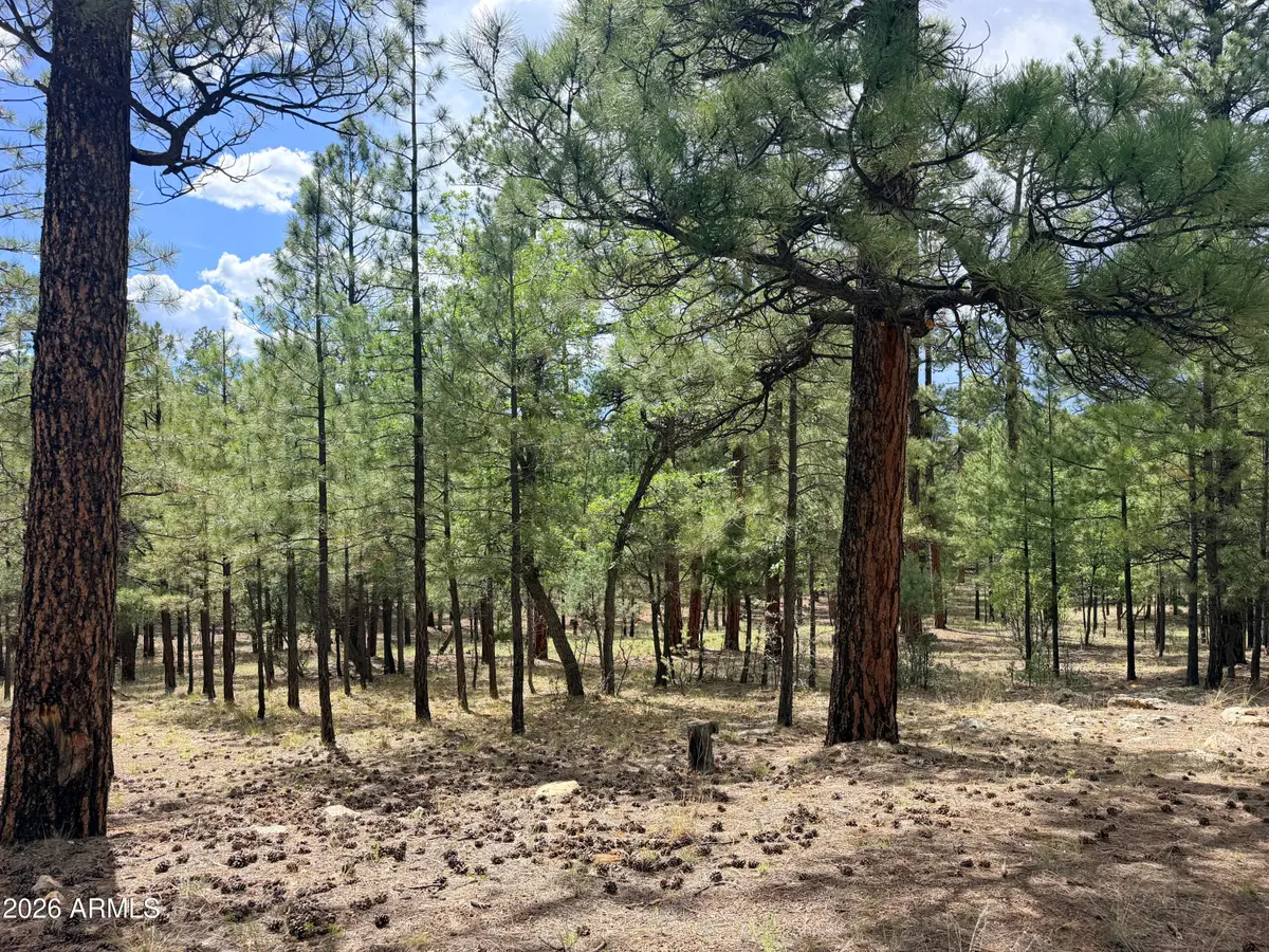 3212 Apache Drive #589, Happy Jack, AZ 86024 - #1