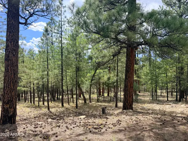 3212 Apache Drive #589, Happy Jack, AZ 86024